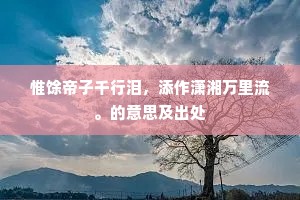 惟馀帝子千行泪，添作潇湘万里流。的意思及出处