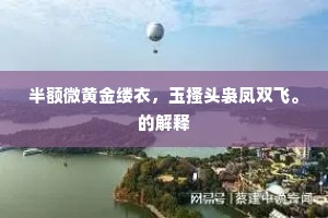 半额微黄金缕衣，玉搔头袅凤双飞。的解释