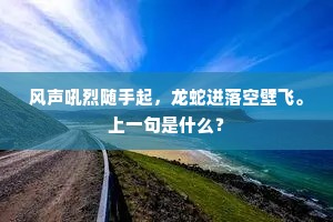 风声吼烈随手起，龙蛇迸落空壁飞。上一句是什么？