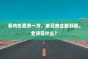 骨肉东西各一方，弟兄南北断肝肠。全诗是什么？