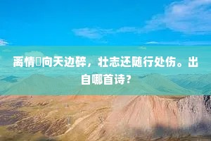 离情祇向天边碎，壮志还随行处伤。出自哪首诗？