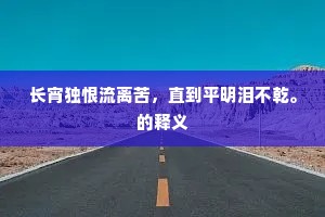 长宵独恨流离苦，直到平明泪不乾。的释义