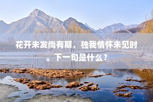 花开未发尚有期，独我情怀未见时。下一句是什么？