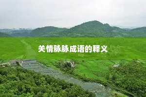 关情脉脉成语的释义