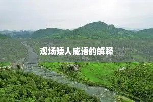 观场矮人成语的解释