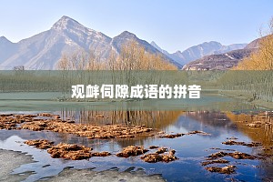 观衅伺隙成语的拼音