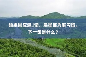 硕果固应邀濩惜，晨星谁为解勾留。下一句是什么？