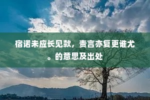 宿诺未应长见款，责言亦复更谁尤。的意思及出处