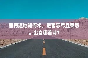 曹柯返地知何术，楚客忘弓且莫愁。出自哪首诗？