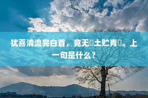 犹喜清流完白首，竟无抔土贮青燐。上一句是什么？