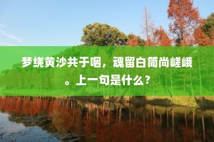 梦绕黄沙共于咽，魂留白简尚嵯峨。上一句是什么？