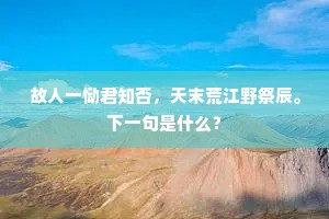 故人一恸君知否，天末荒江野祭辰。下一句是什么？