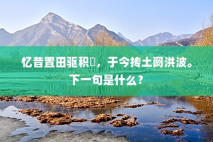 忆昔置田驱积菶，于今抟土阏洪波。下一句是什么？