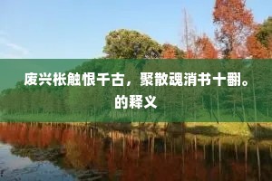 废兴枨触恨千古，聚散魂消书十翻。的释义