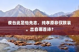 夜台此足怡先志，纯孝原非仅致哀。出自哪首诗？