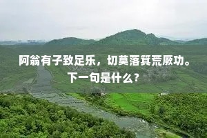 阿翁有子致足乐，切莫落箕荒厥功。下一句是什么？