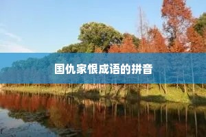 国仇家恨成语的拼音