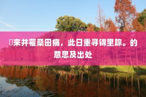 朅来并罹桑田痛，此日重寻锦里踪。的意思及出处