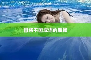 国将不国成语的解释