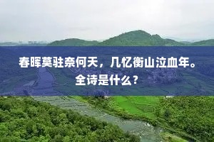 春晖莫驻奈何天，几忆衡山泣血年。全诗是什么？