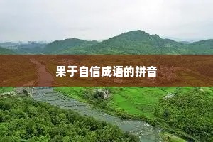 果于自信成语的拼音
