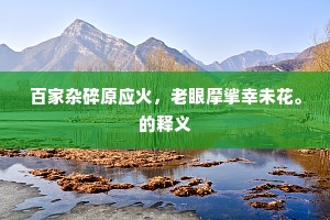百家杂碎原应火，老眼摩挲幸未花。的释义