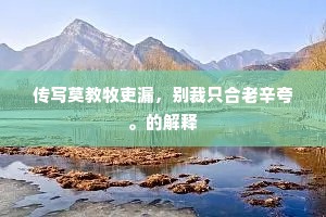 传写莫教牧吏漏，别裁只合老辛夸。的解释