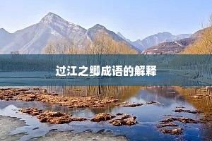 过江之鲫成语的解释