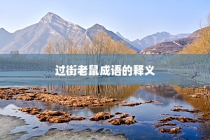 过街老鼠成语的释义
