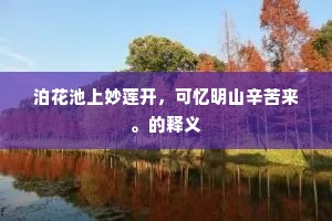泊花池上妙莲开，可忆明山辛苦来。的释义