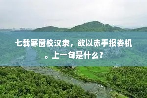 七载寒窗校汉隶，欲以赤手报娄机。上一句是什么？