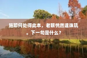 施即何处得此本，老眼恍然逢珠玑。下一句是什么？