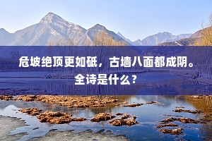 危坡绝顶更如砥，古墙八面都成阴。全诗是什么？