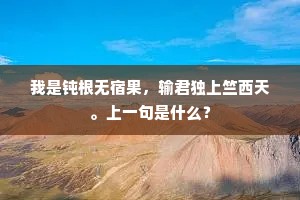 我是钝根无宿果，输君独上竺西天。上一句是什么？