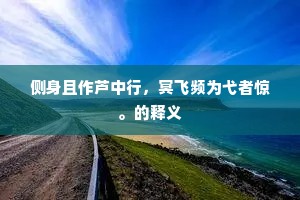 侧身且作芦中行，冥飞频为弋者惊。的释义