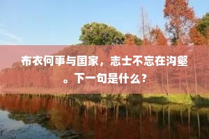 布衣何事与国家，志士不忘在沟壑。下一句是什么？