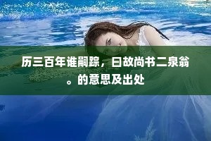 历三百年谁嗣踪，曰故尚书二泉翁。的意思及出处