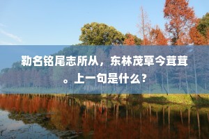 勒名铭尾志所从，东林茂草今茸茸。上一句是什么？