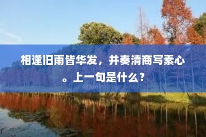 相逢旧雨皆华发，并奏清商写素心。上一句是什么？