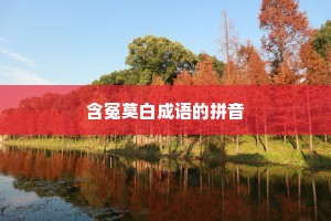 含冤莫白成语的拼音