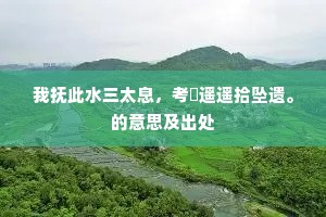 我抚此水三太息，考證遥遥拾坠遗。的意思及出处