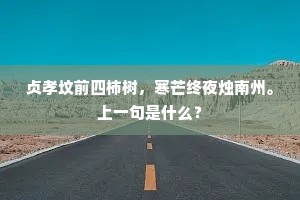 贞孝坟前四柿树，寒芒终夜烛南州。上一句是什么？