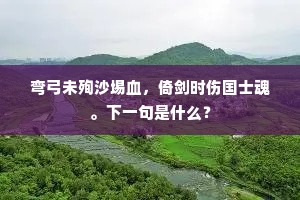弯弓未殉沙埸血，倚剑时伤国士魂。下一句是什么？