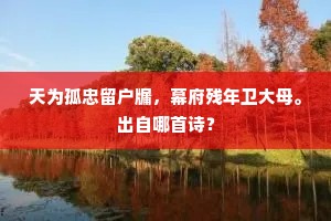 天为孤忠留户牖，幕府残年卫大母。出自哪首诗？