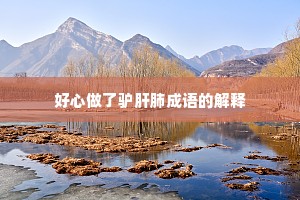 好心做了驴肝肺成语的解释
