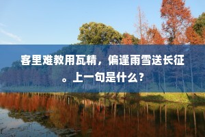 客里难教用瓦精，偏逢雨雪送长征。上一句是什么？
