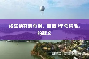 诸生读书贵有用，岂徒佔毕夸精能。的释义