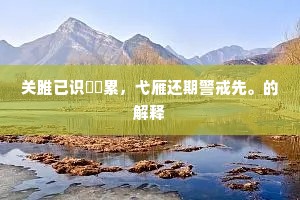 关雎已识譣诐累，弋雁还期警戒先。的解释