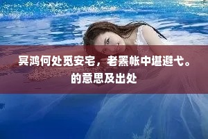 冥鸿何处觅安宅，老罴帐中堪避弋。的意思及出处
