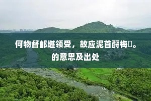 何物督邮堪领受，故应泥首酹梅鋗。的意思及出处